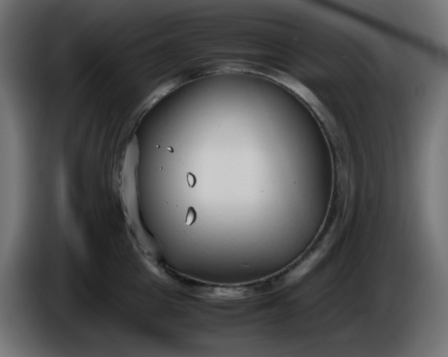 X0000086330857200704131718