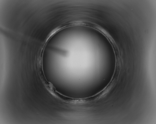 X0000086330858200704131718