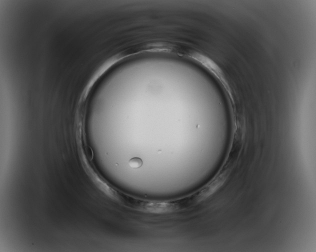 X0000086330859200704131718