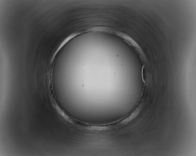 X0000086330860200704131718