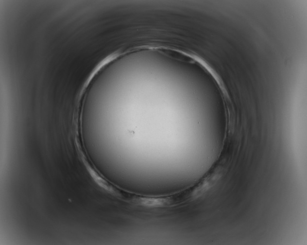 X0000086330861200704131718