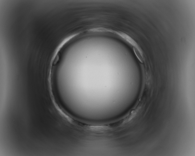 X0000086330863200704131718