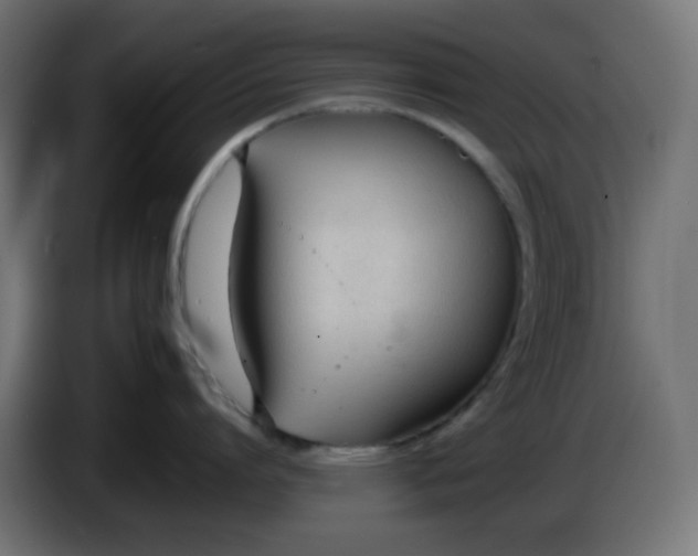 X0000086330864200704131718