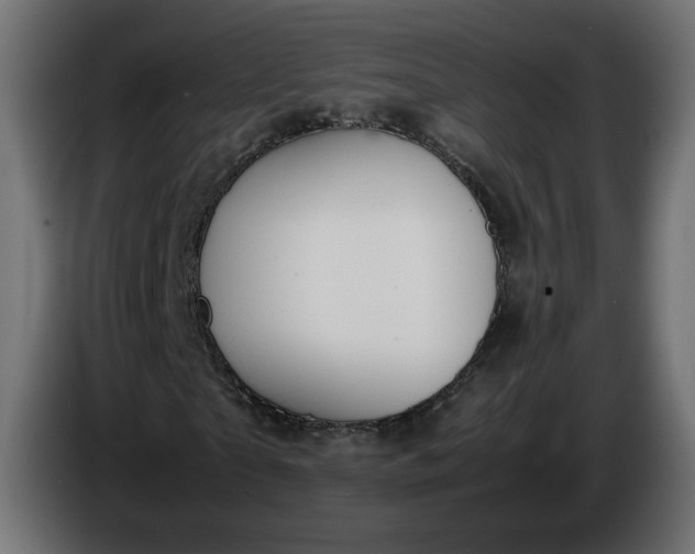 X0000086330865200704131717