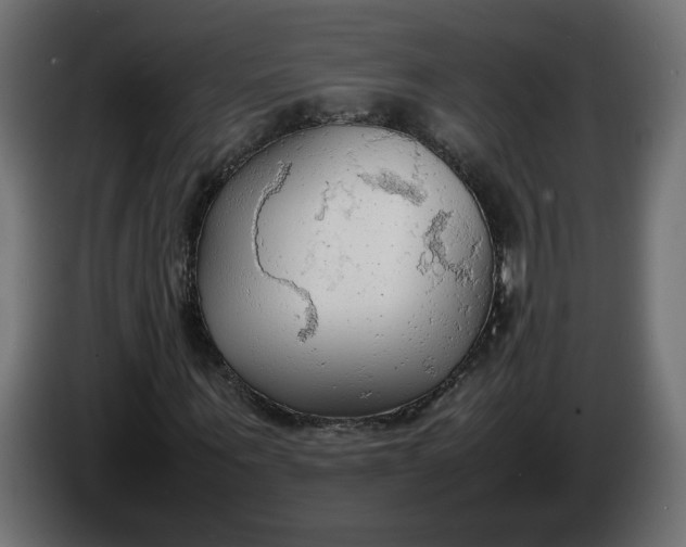 X0000086330867200704131717