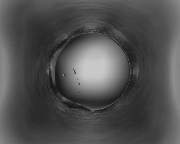 X0000086330868200704131717