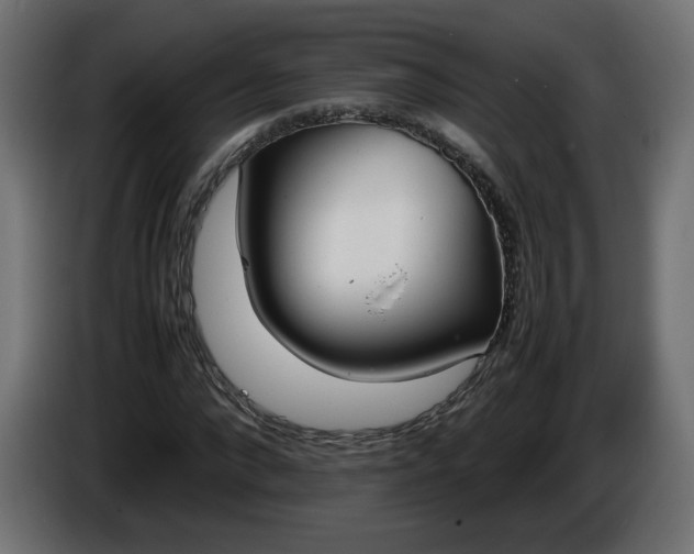 X0000086330872200704131717