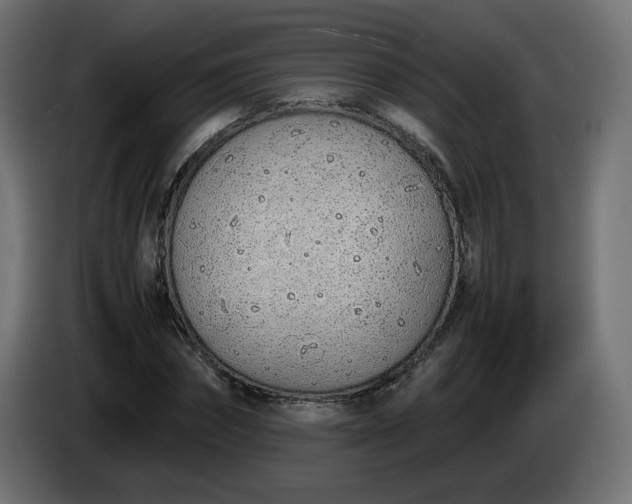 X0000086330874200704131717