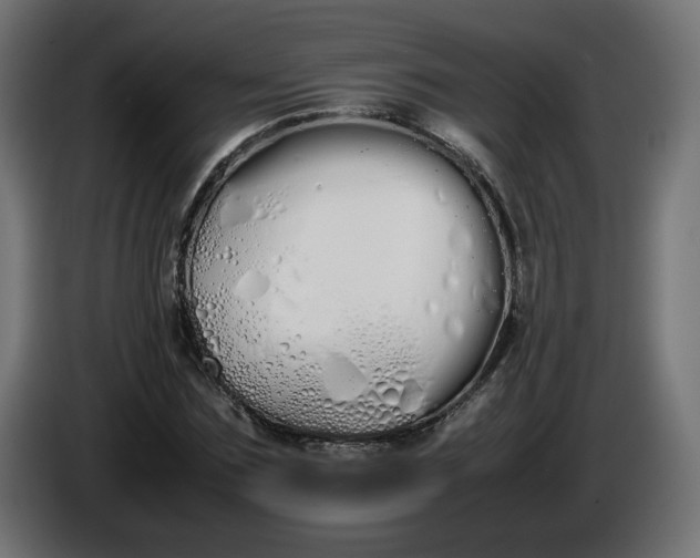 X0000086330875200704131717