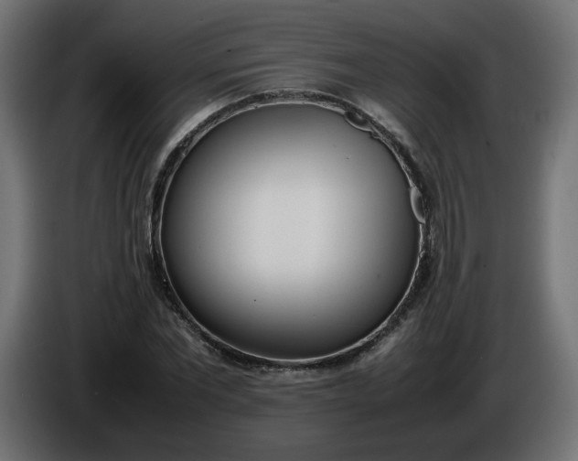 X0000086330877200704131717