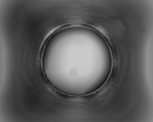 X0000086330879200704131717