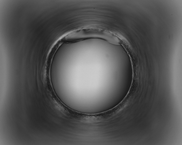 X0000086330880200704131717