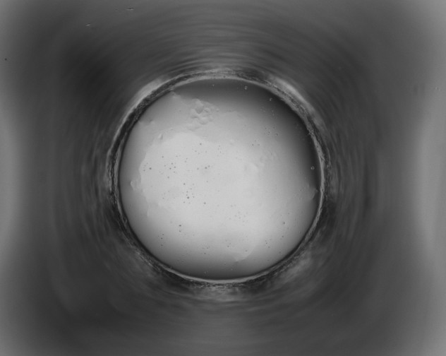 X0000086330883200704131716