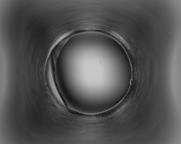 X0000086330885200704131716