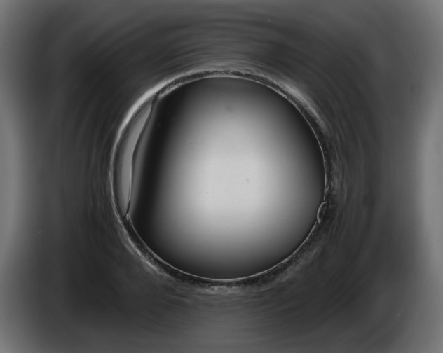 X0000086330888200704131716