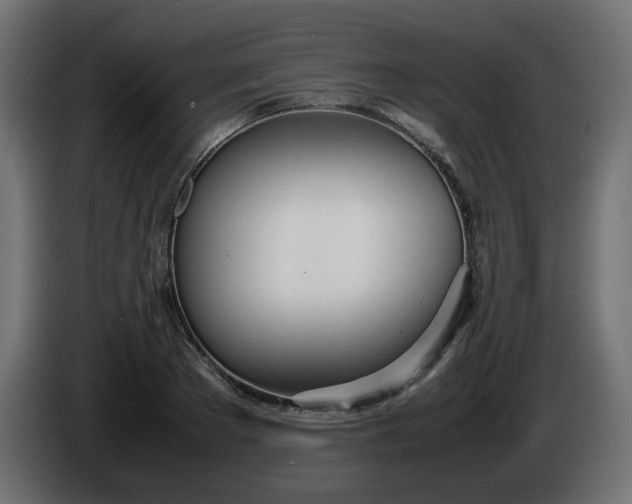 X0000086330889200704131716