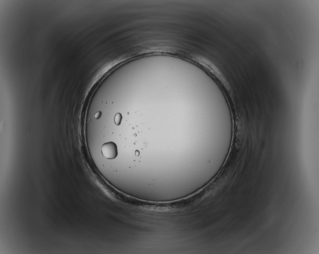 X0000086330890200704131716