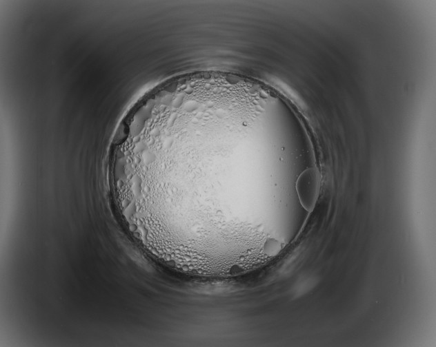 X0000086330891200704131716