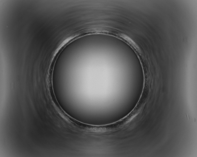 X0000086330893200704131716