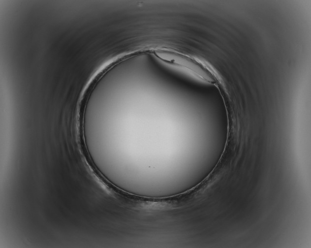 X0000086330894200704131716