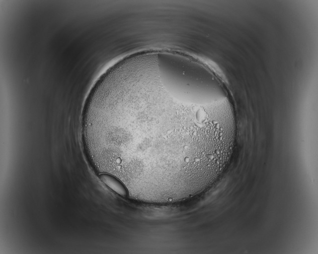 X0000086330895200704131716