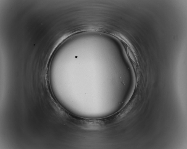 X0000086330899200704131716