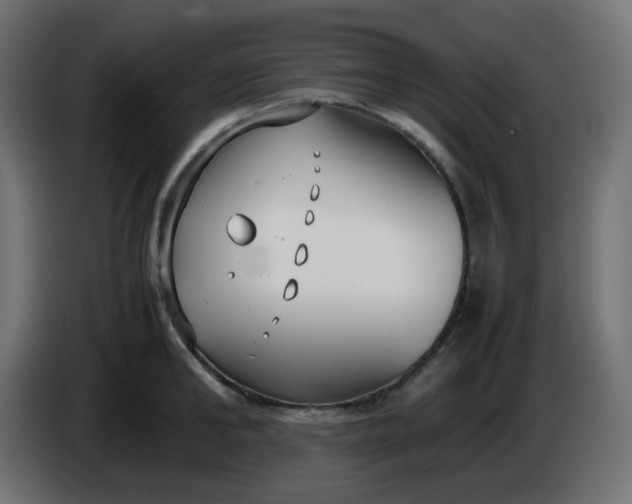 X0000086330902200704131716