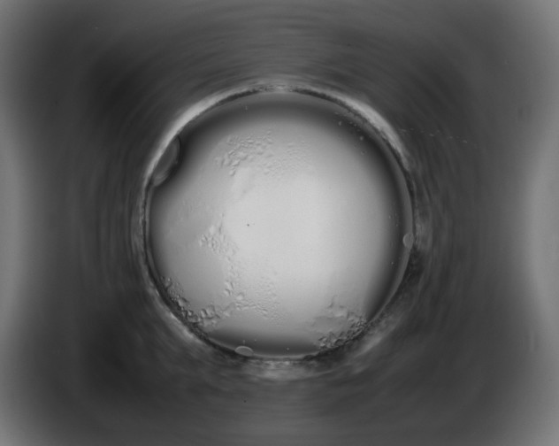 X0000086330903200704131716