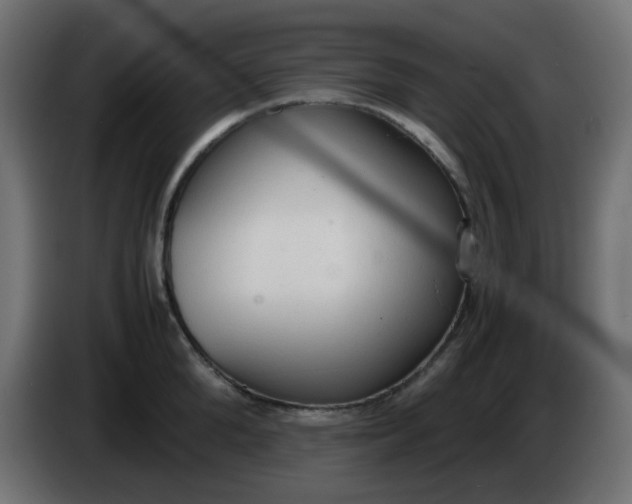 X0000086330904200704131716