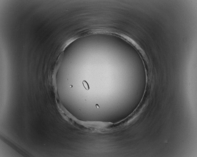 X0000086330905200704131716