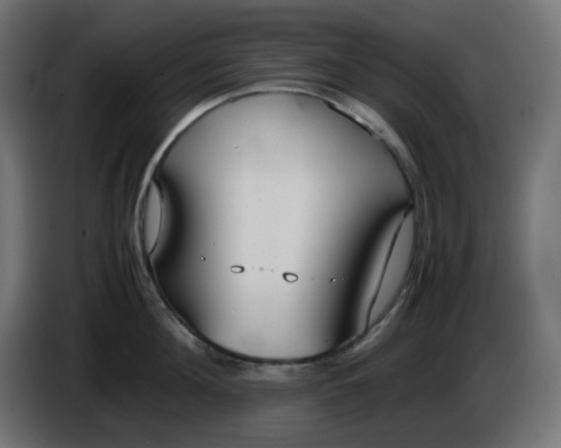 X0000086330908200704131716