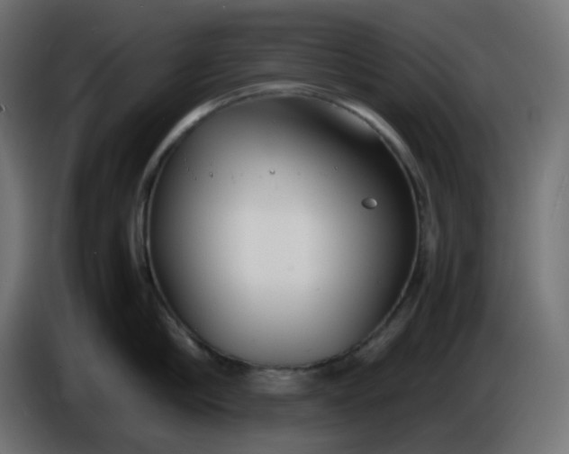 X0000086330910200704131716