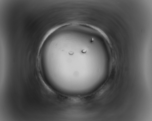 X0000086330911200704131716