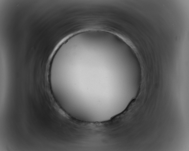 X0000086330912200704131716