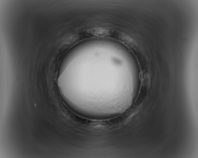 X0000086330913200704131715