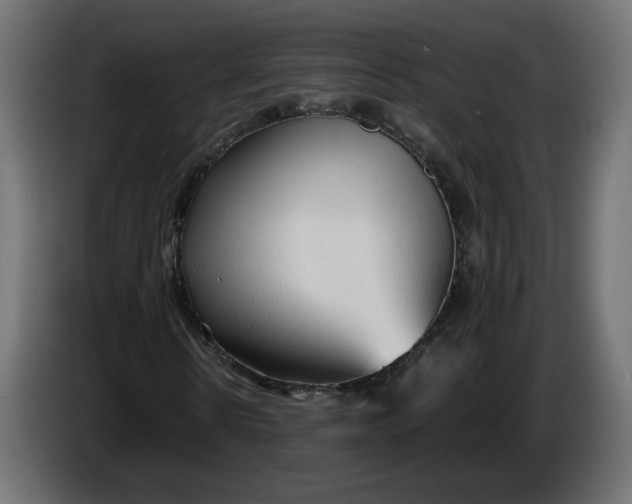 X0000086330914200704131715