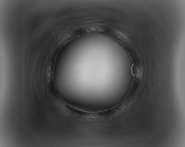 X0000086330915200704131715