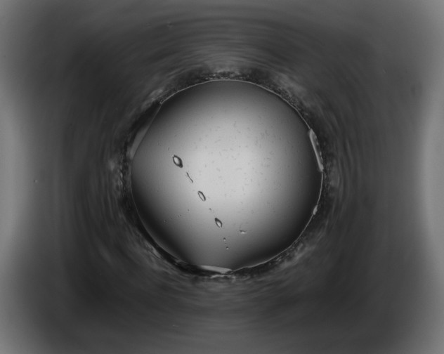 X0000086330916200704131715