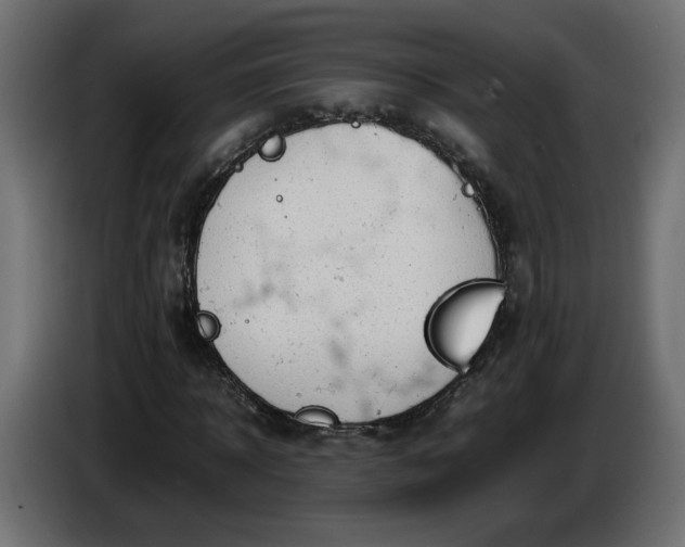 X0000086330918200704131715