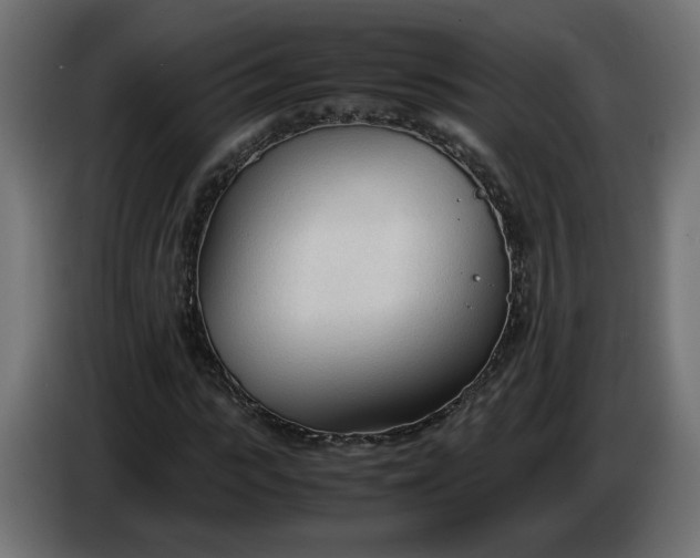 X0000086330919200704131715