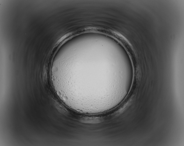 X0000086330921200704131715