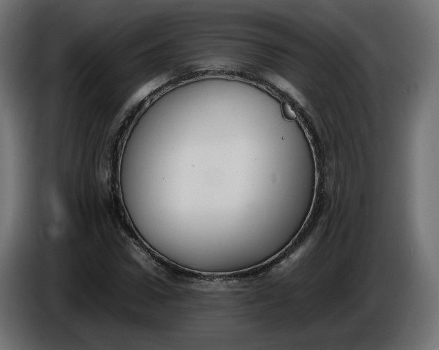 X0000086330922200704131715