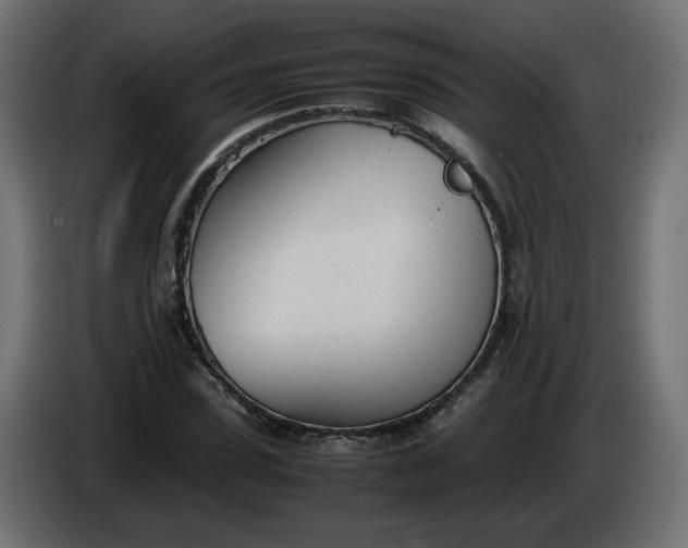 X0000086330923200704131715