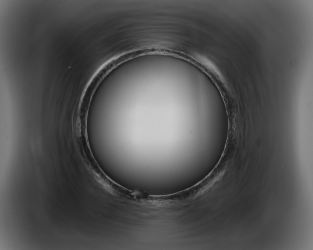 X0000086330924200704131715