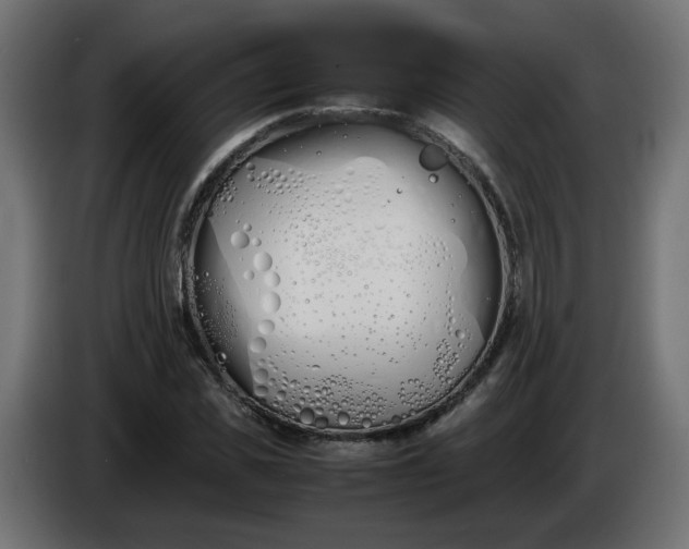 X0000086330925200704131715