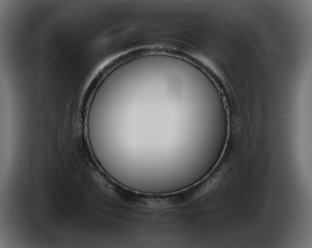 X0000086330927200704131715