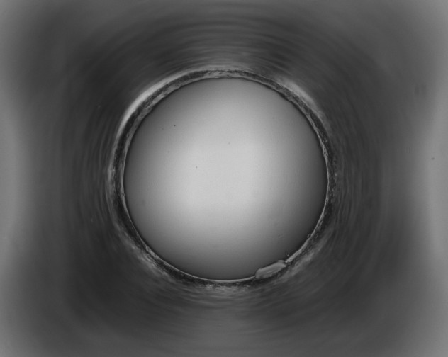 X0000086330928200704131715