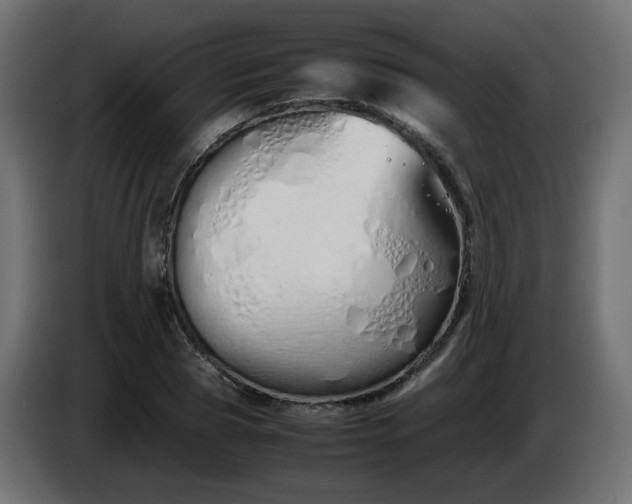 X0000086330929200704131715