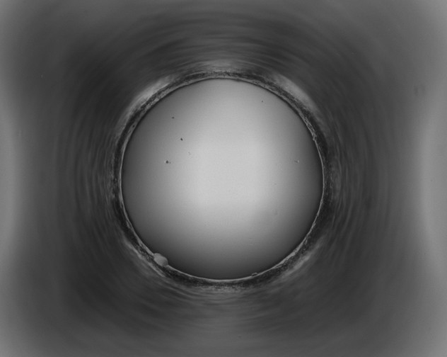 X0000086330930200704131715