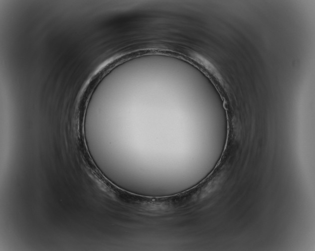 X0000086330931200704131715